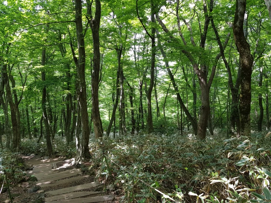 20190611_150645.jpg?type=w1