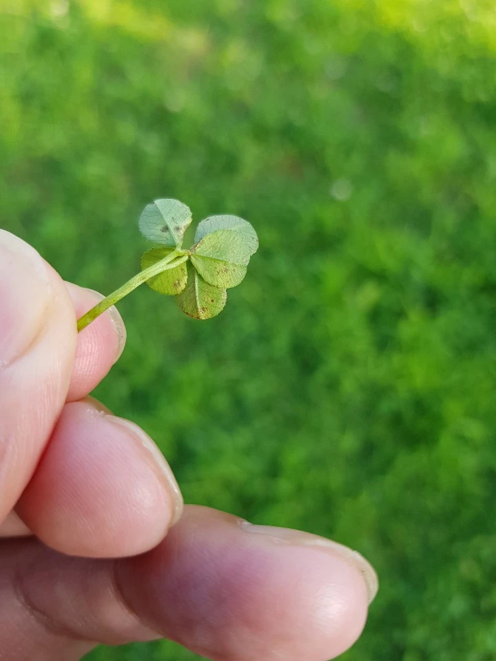 KakaoTalk_20200818_113528009_01.jpg?type=w1