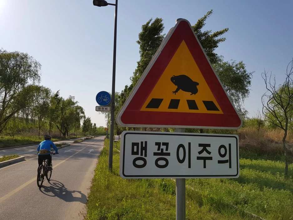 20190509_165753.jpg?type=w1