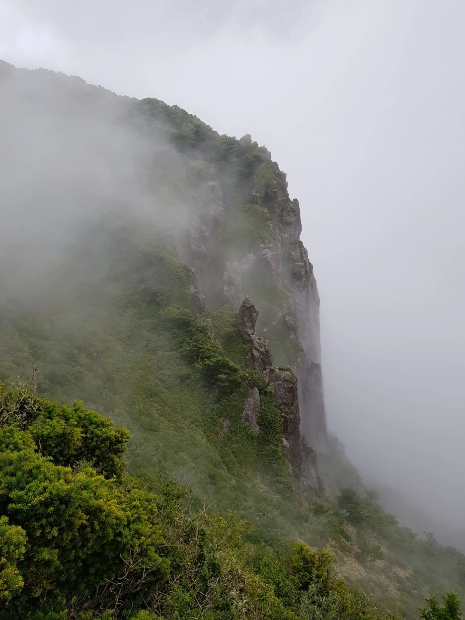 20190611_105346.jpg?type=w1