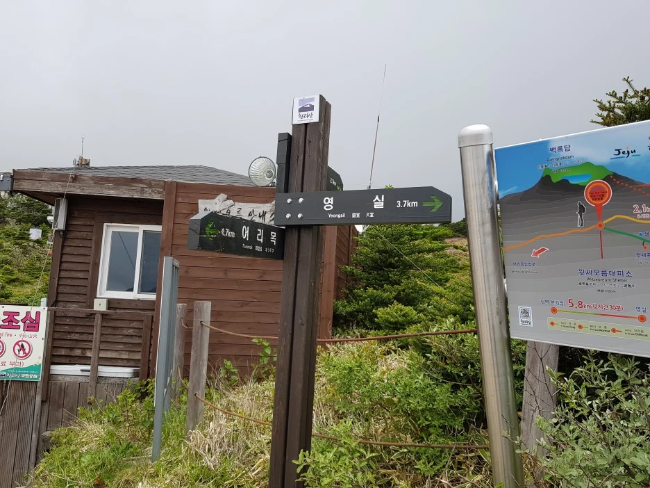 20190611_115221.jpg?type=w1