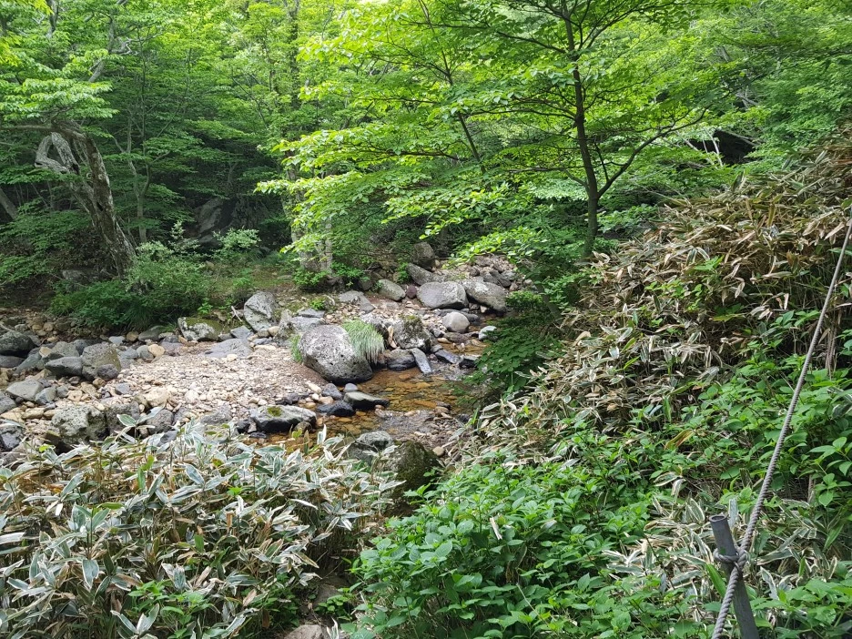 20190611_102754.jpg?type=w1