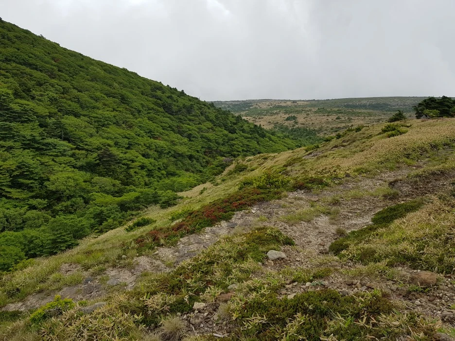 20190611_130831.jpg?type=w1