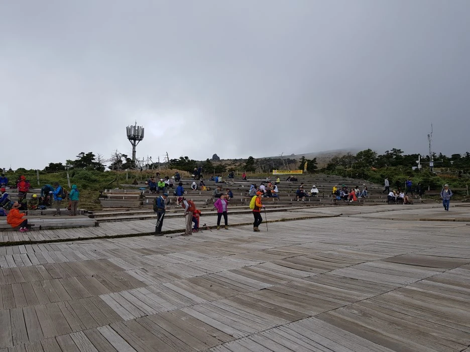 20190611_115523.jpg?type=w1