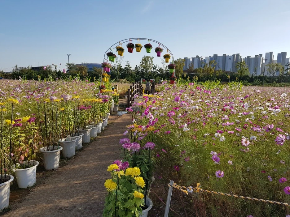 20201006_162054.jpg?type=w1