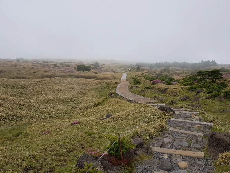 20190611_141842.jpg?type=w1