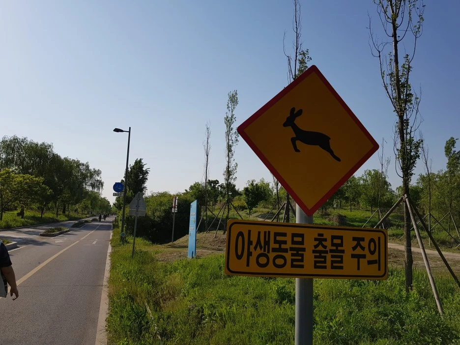 20190509_165502.jpg?type=w1