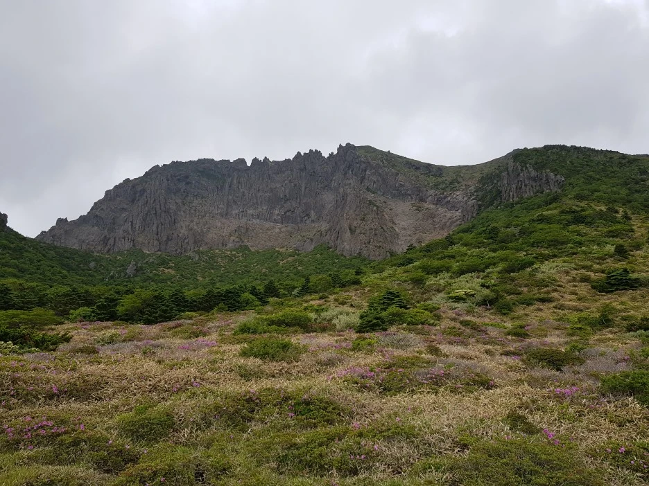 20190611_133052.jpg?type=w1