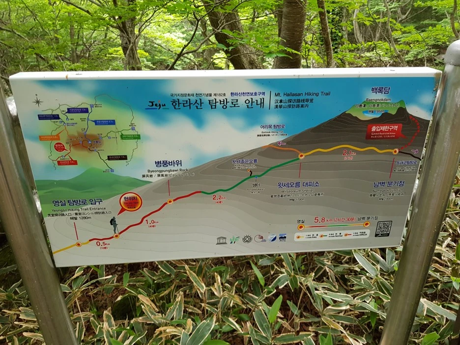 20190611_102743.jpg?type=w1