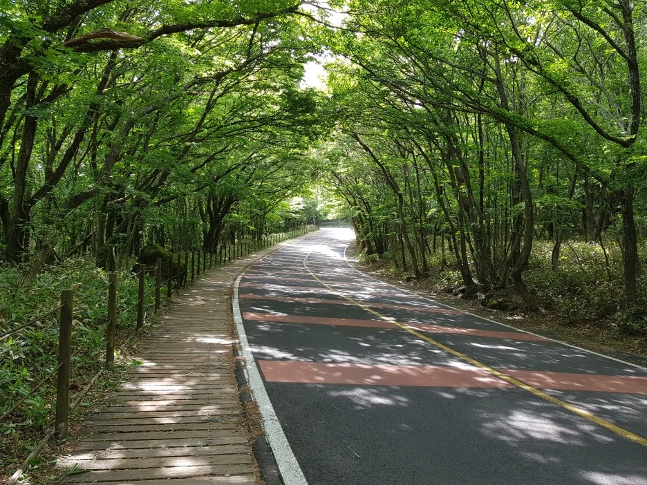 20190611_153726.jpg?type=w1