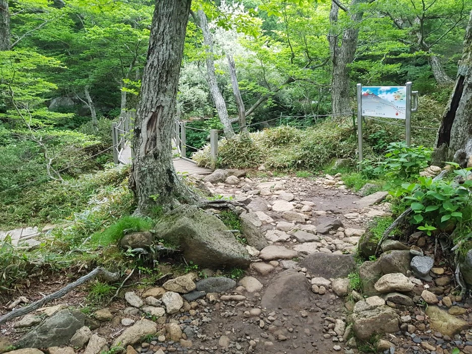 20190611_103216.jpg?type=w1