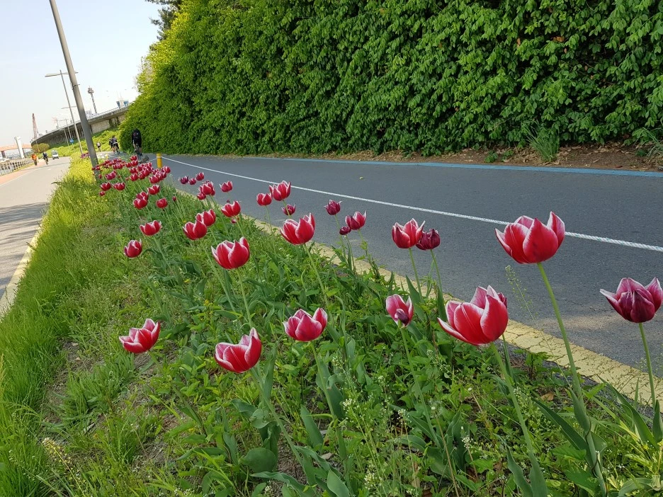 20190509_151541.jpg?type=w1