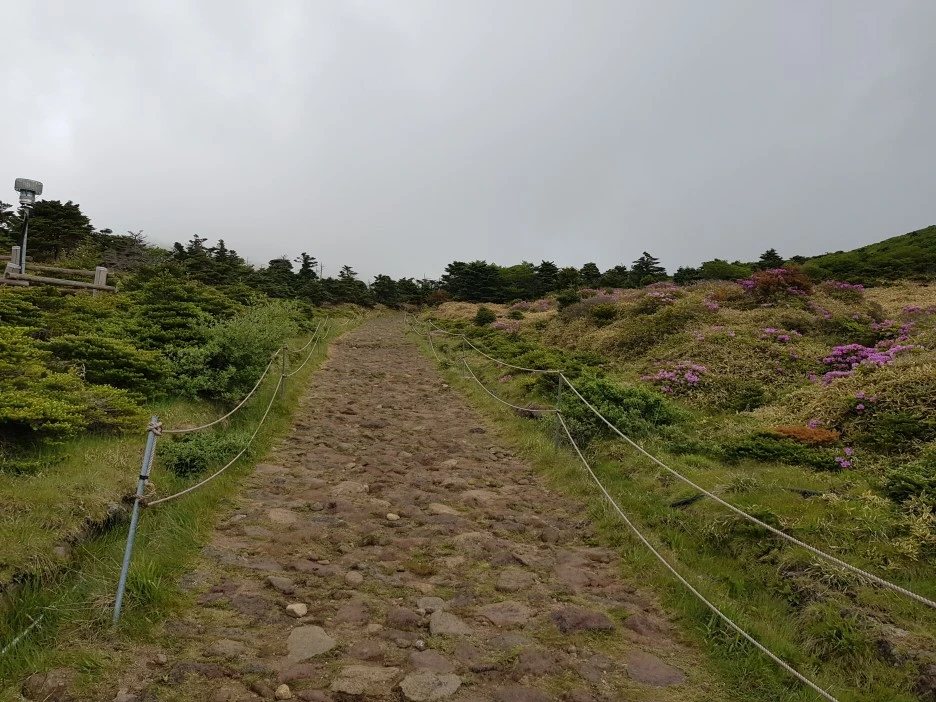 20190611_124340.jpg?type=w1