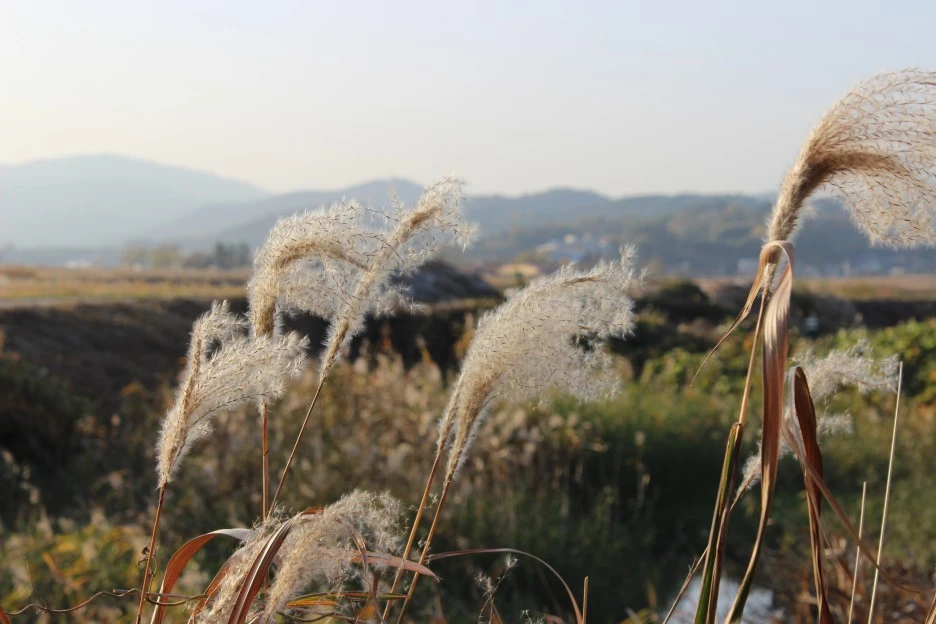 IMG_4353.JPG?type=w1