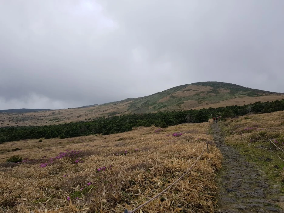 20190611_134851.jpg?type=w1