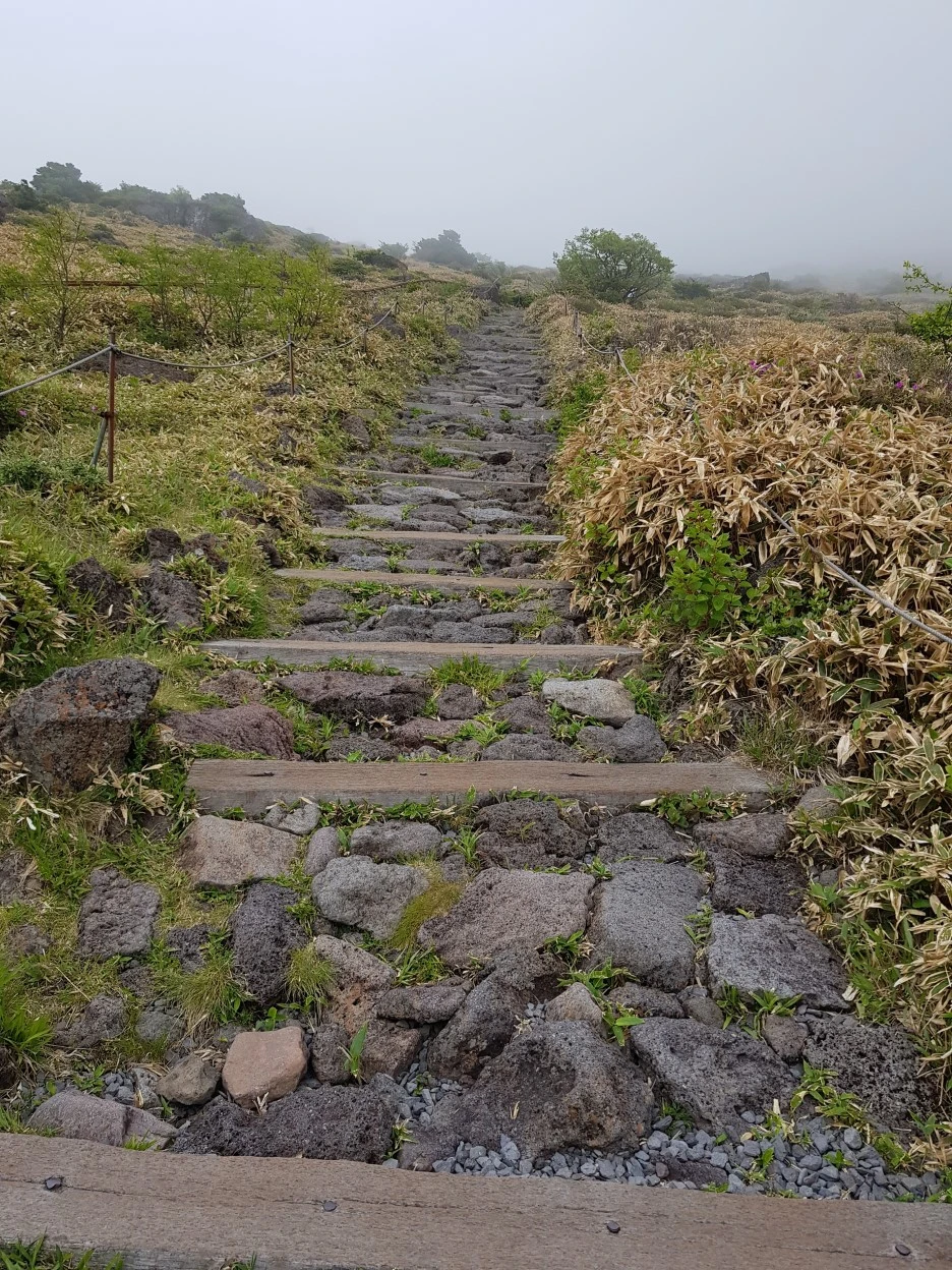 20190611_143612.jpg?type=w1