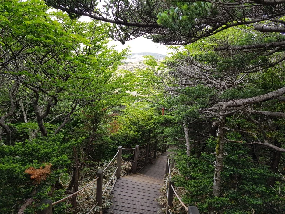 20190611_134244.jpg?type=w1