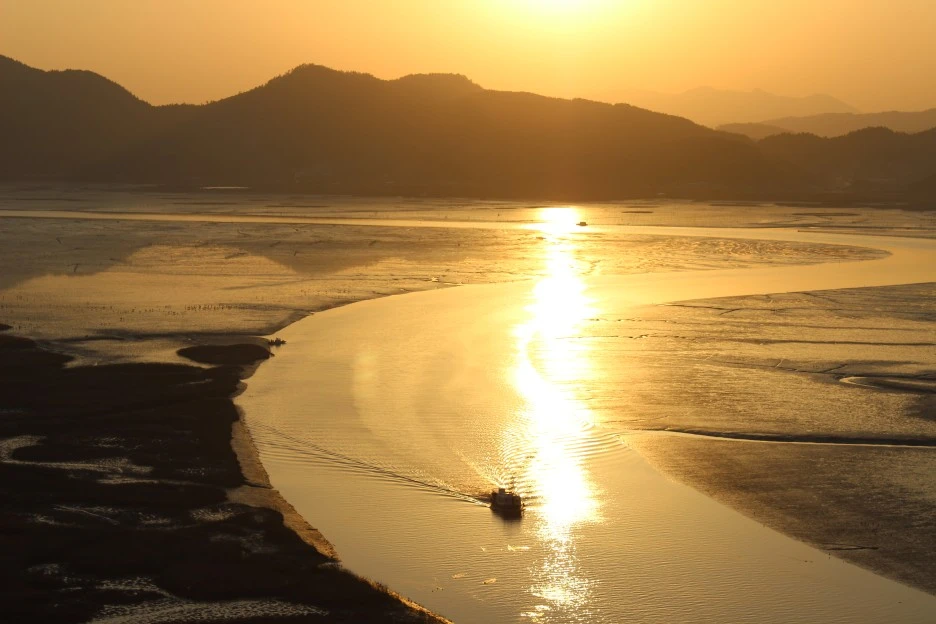 IMG_4387.JPG?type=w1