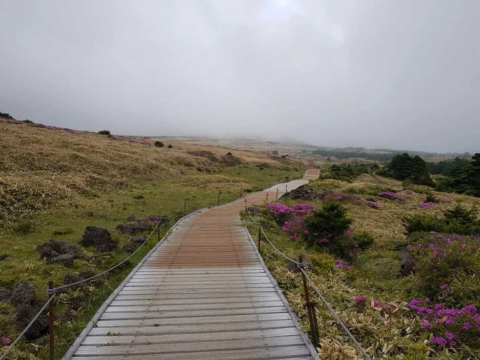 20190611_141619.jpg?type=w1