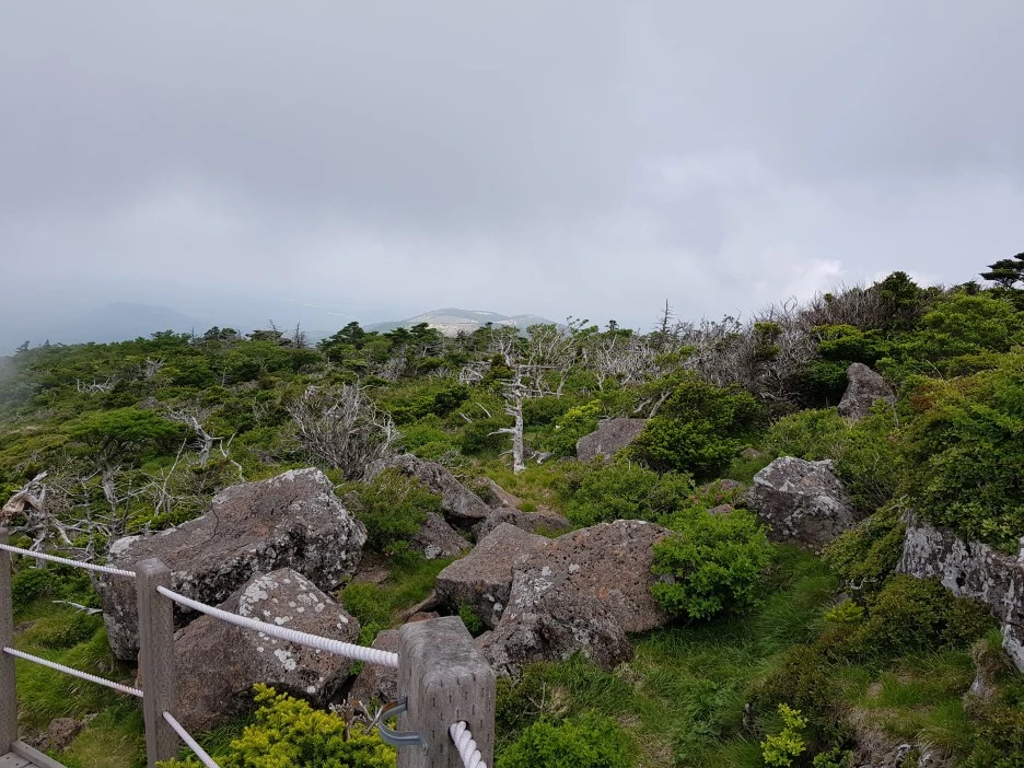 20190611_110829.jpg?type=w1