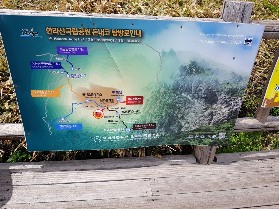 20190611_132419.jpg?type=w1