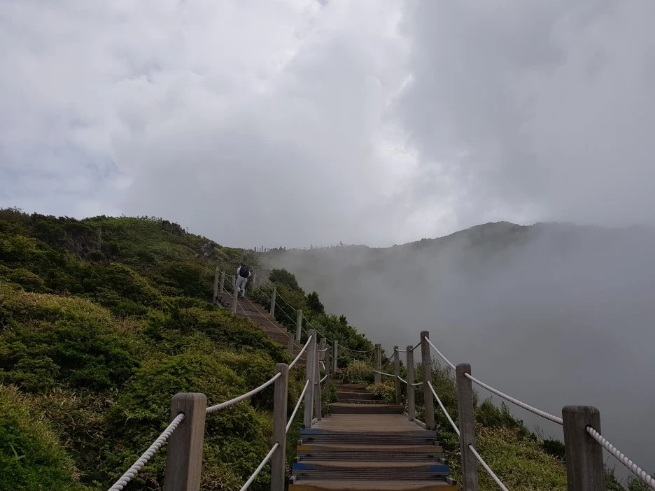 20190611_105303.jpg?type=w1