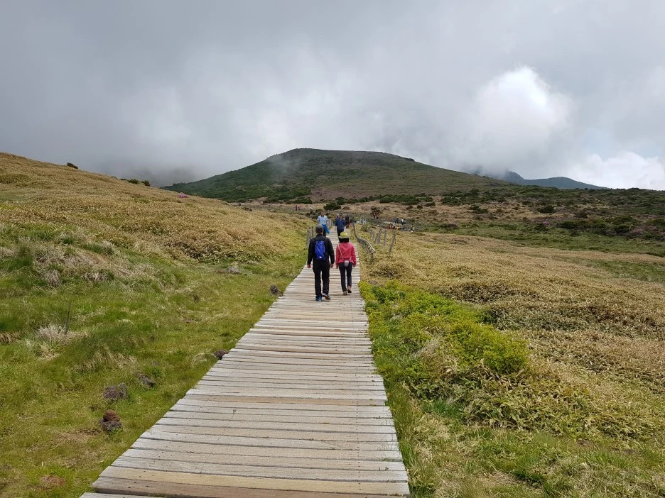 20190611_114431.jpg?type=w1