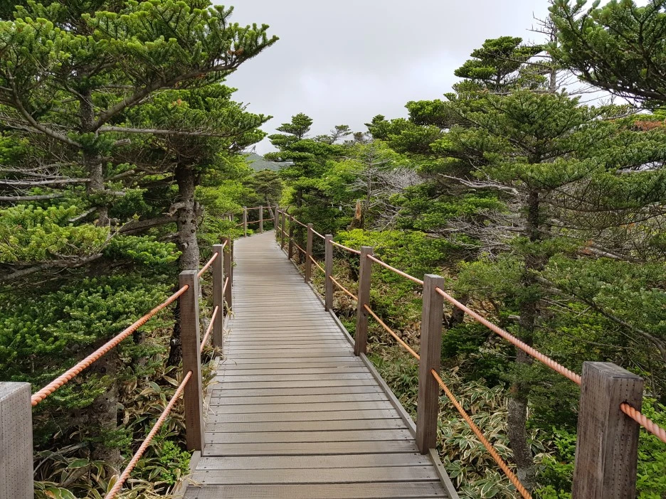 20190611_111806.jpg?type=w1