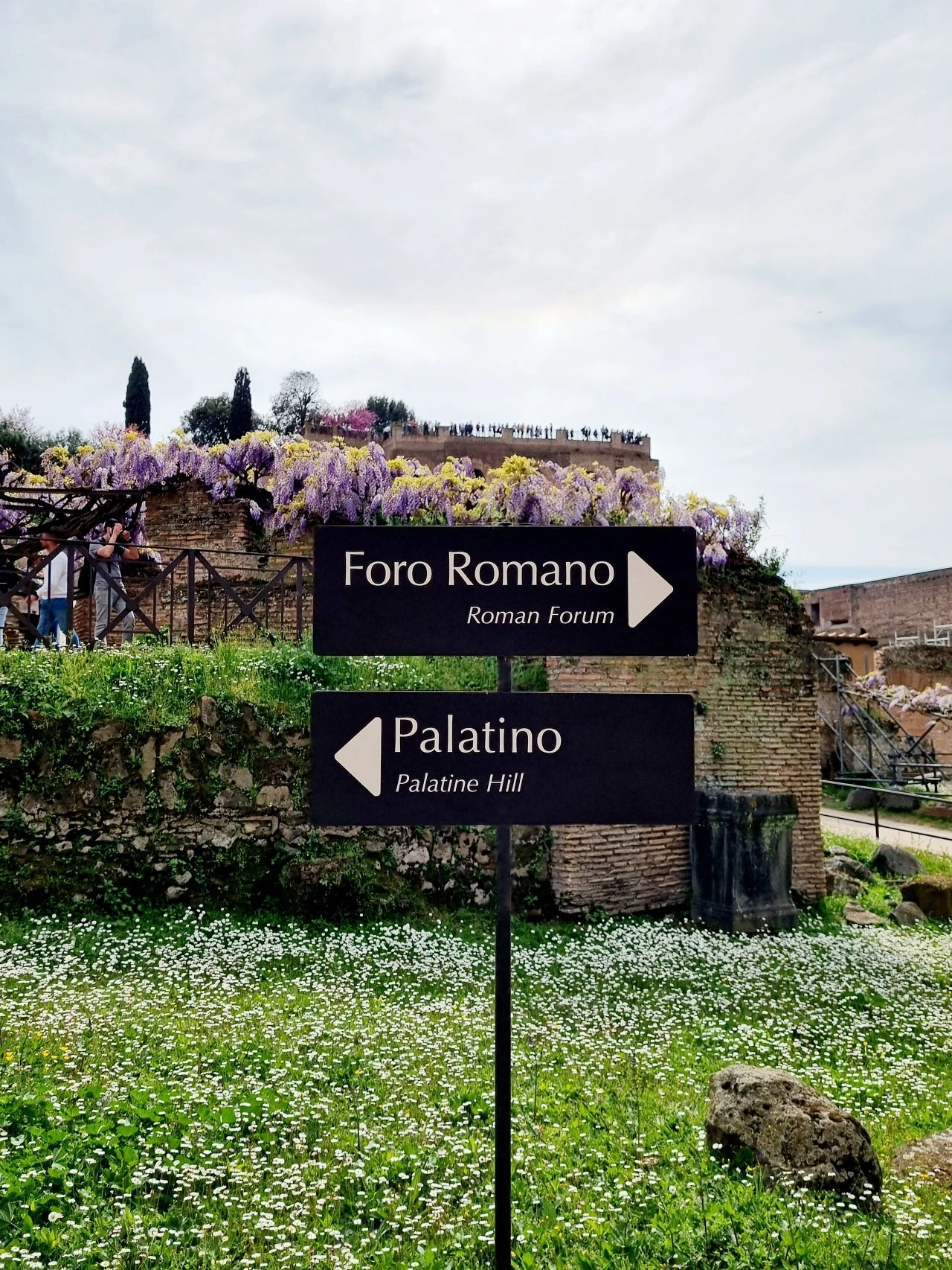 다운로드 (6).jpeg