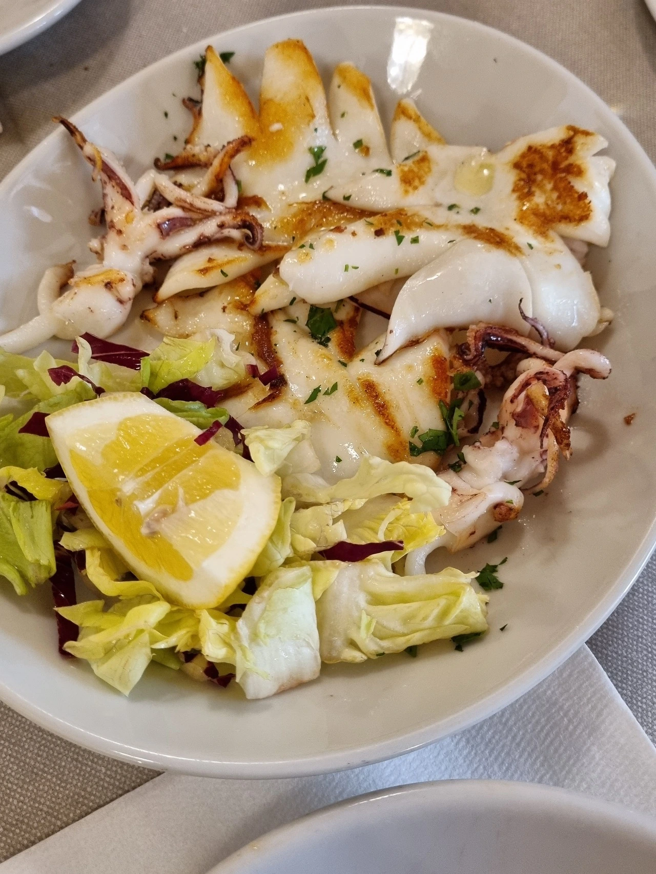 다운로드 (55).jpeg