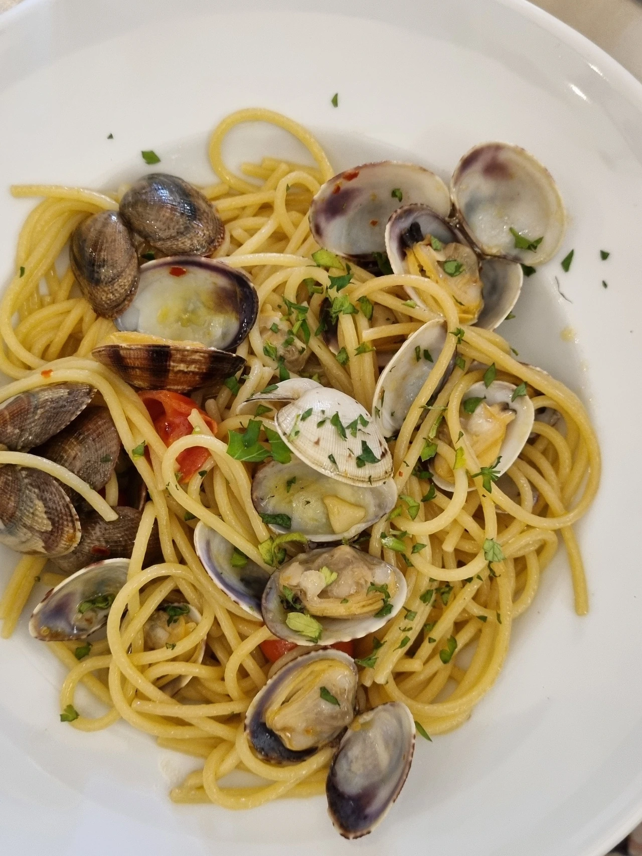 다운로드 (49).jpeg