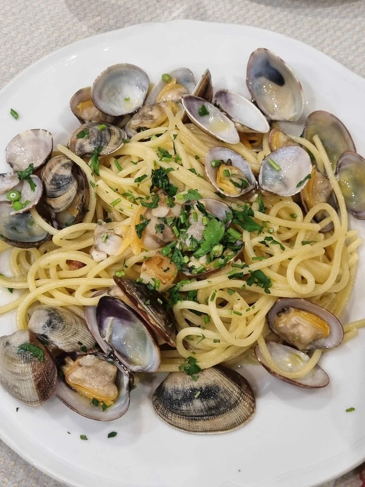 다운로드 (43).jpeg