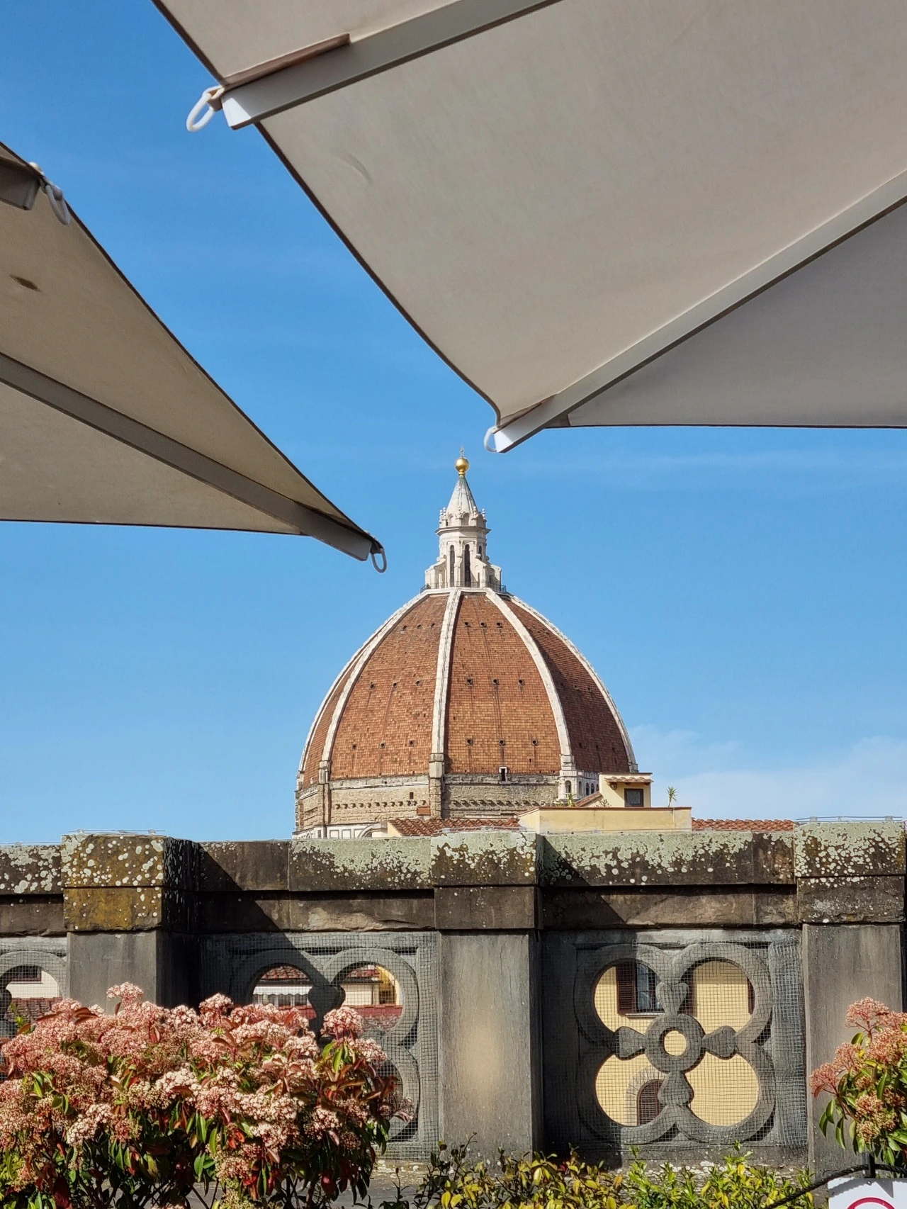 다운로드 (99).jpeg