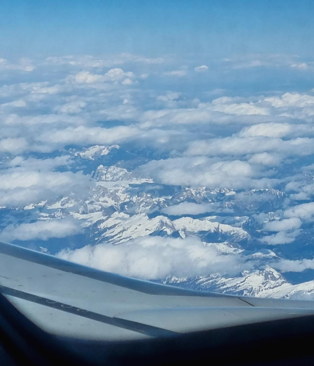 다운로드 (24).jpeg