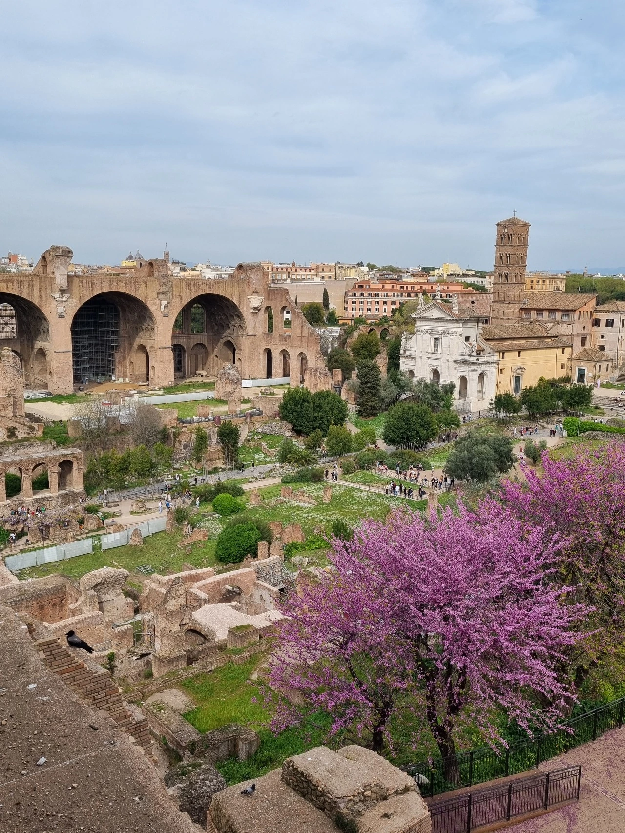 다운로드 (25).jpeg