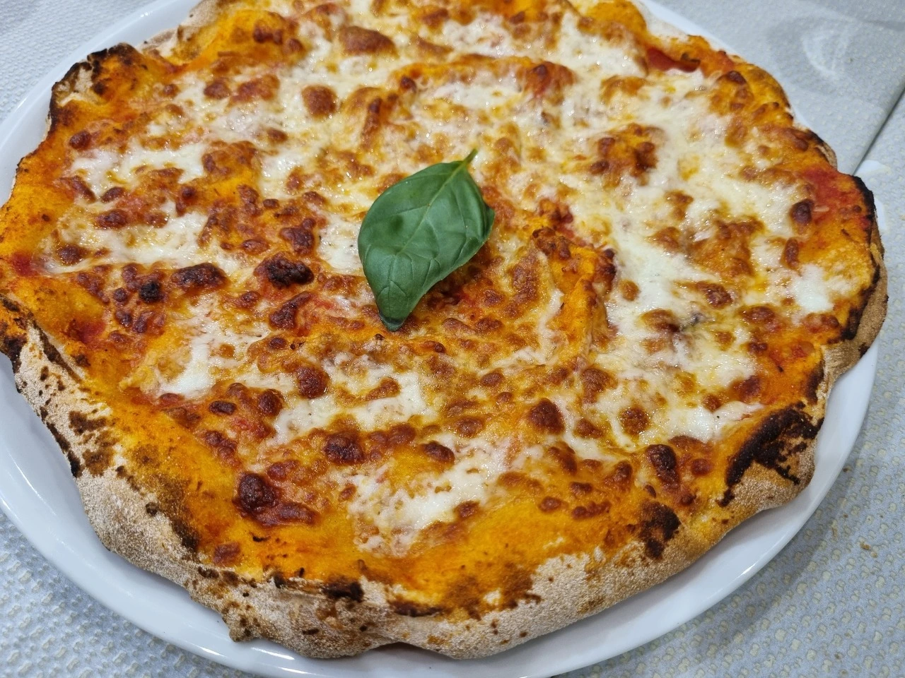 다운로드 (44).jpeg