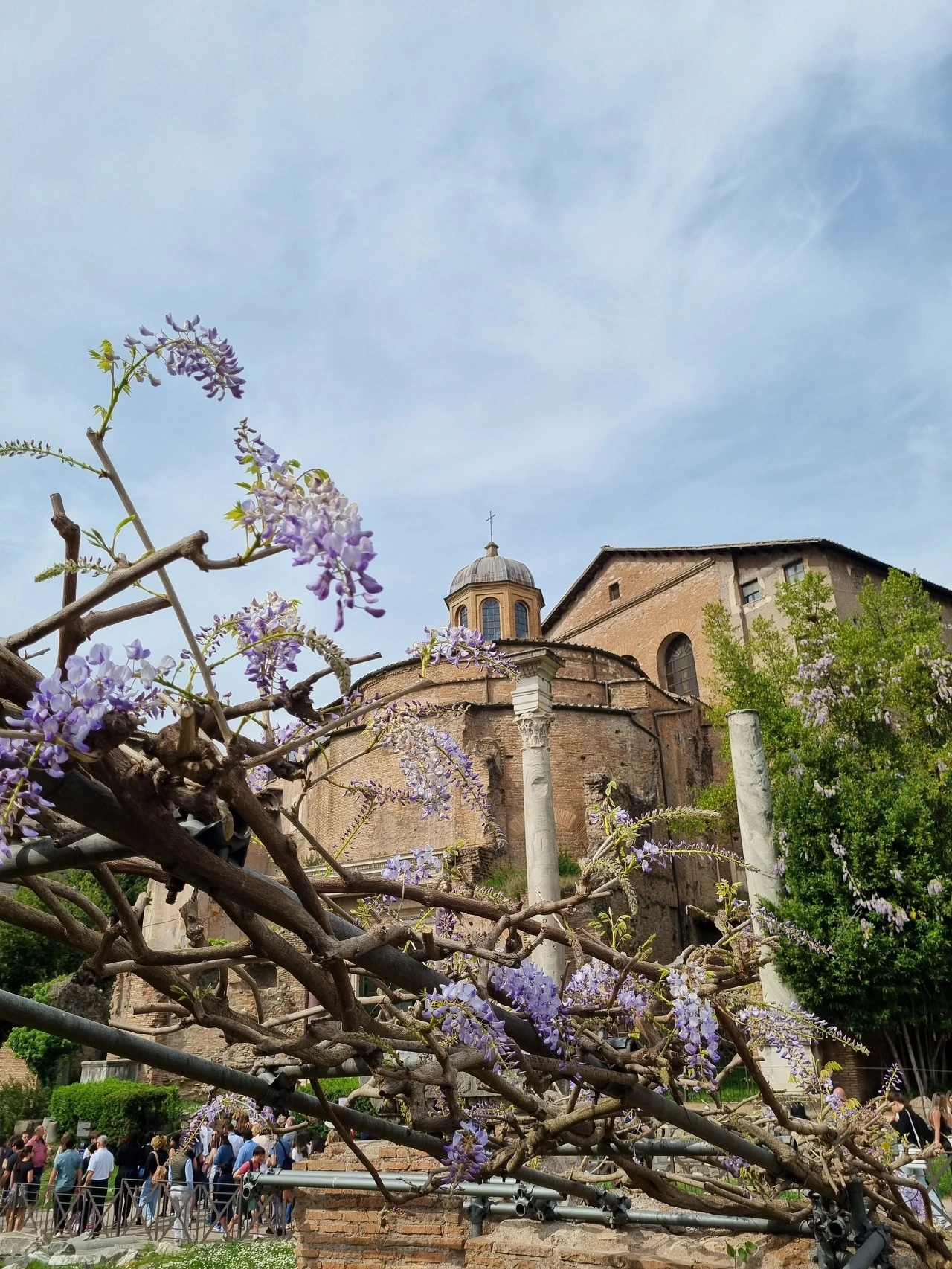 다운로드 (32).jpeg