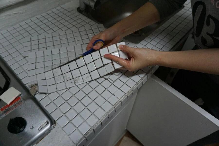 DSC03531.JPG?type=w966