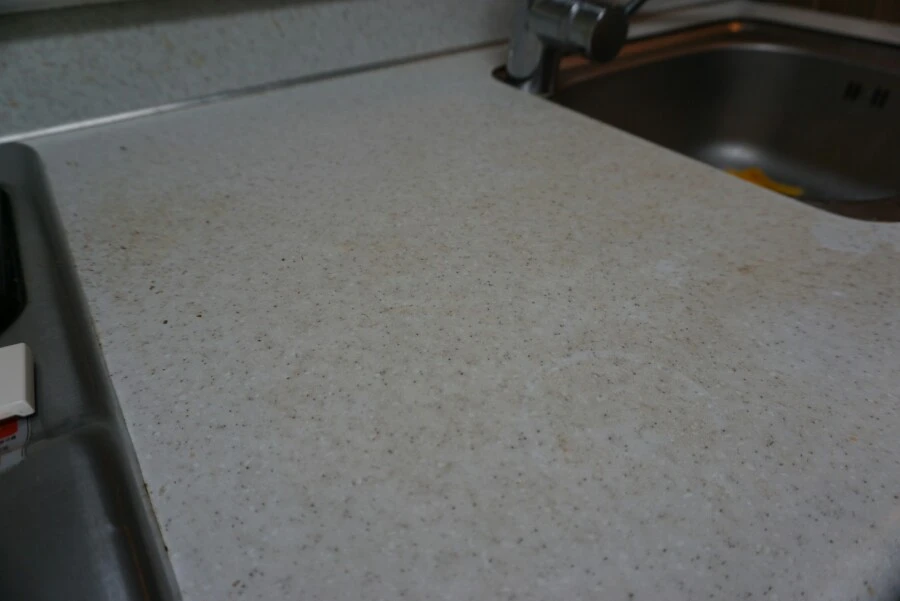 DSC03524.JPG?type=w966