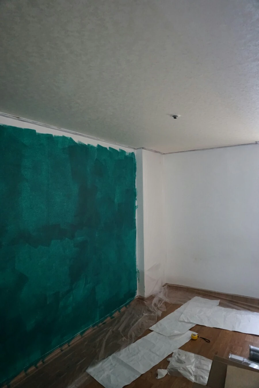 DSC03523.JPG?type=w966