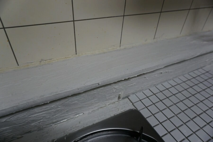 DSC03526.JPG?type=w966