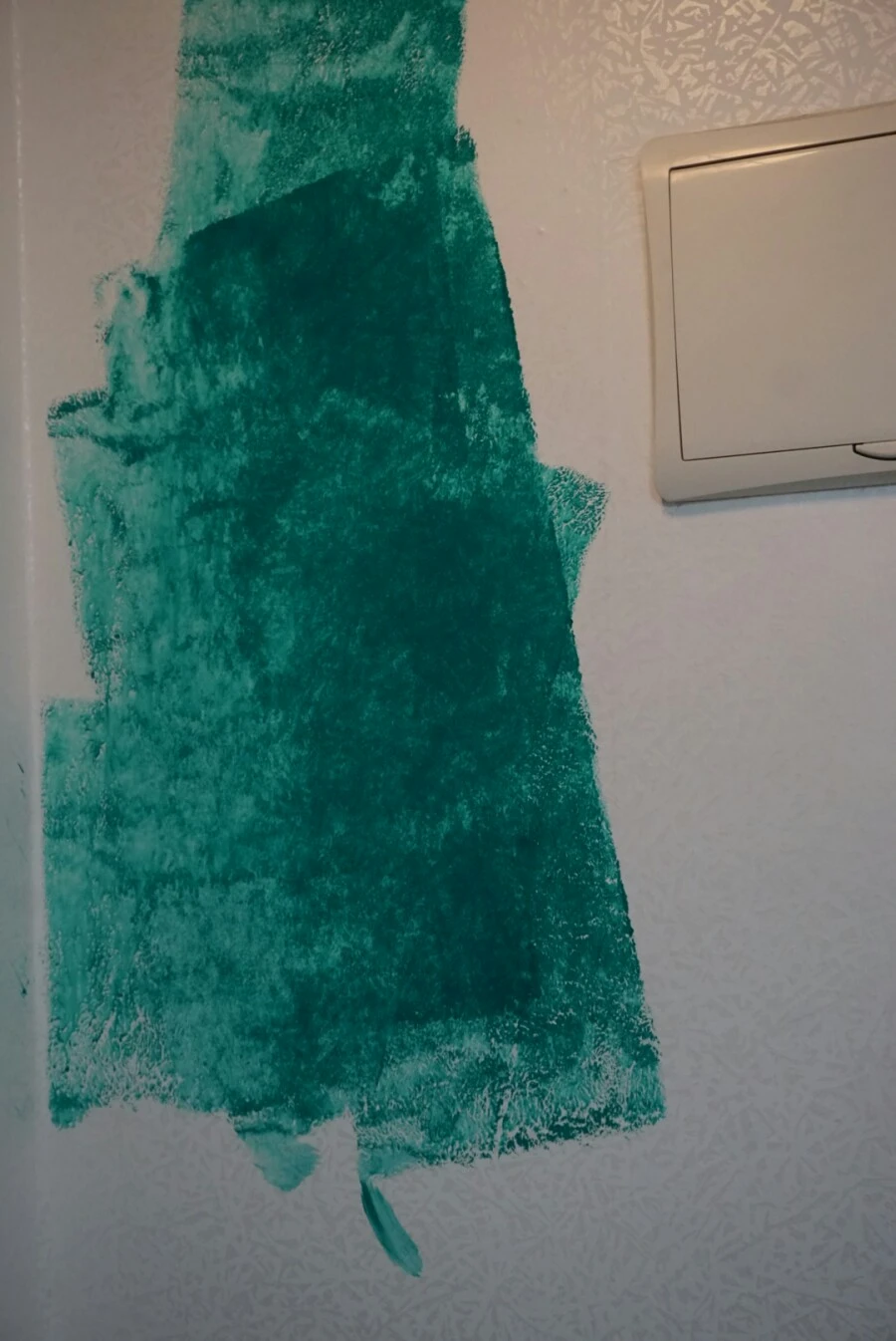 DSC03519.JPG?type=w966