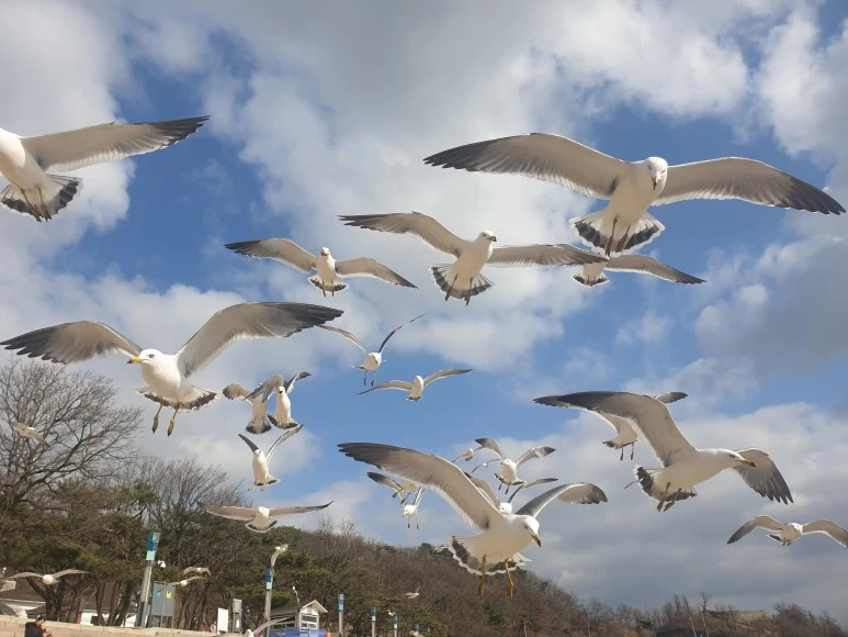 %EC%97%AC%ED%96%89.jpg?type=w773