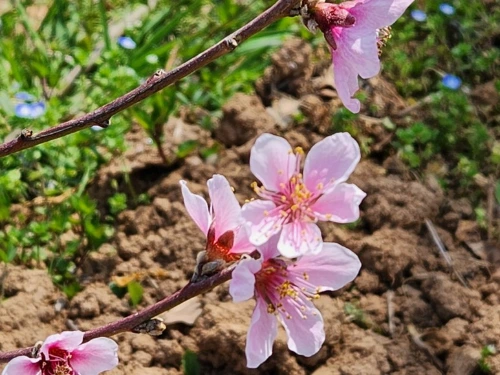 KakaoTalk_20240415_082218782_01.jpg?type=w773