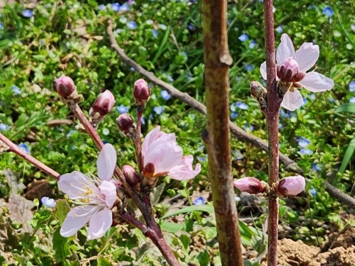 %EB%82%98%EB%AC%B43.jpg?type=w773