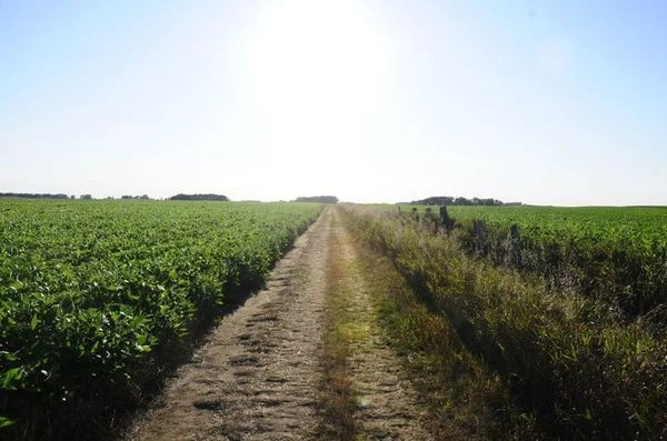 72486225-d5d9-4493-ab21-573708259bd6