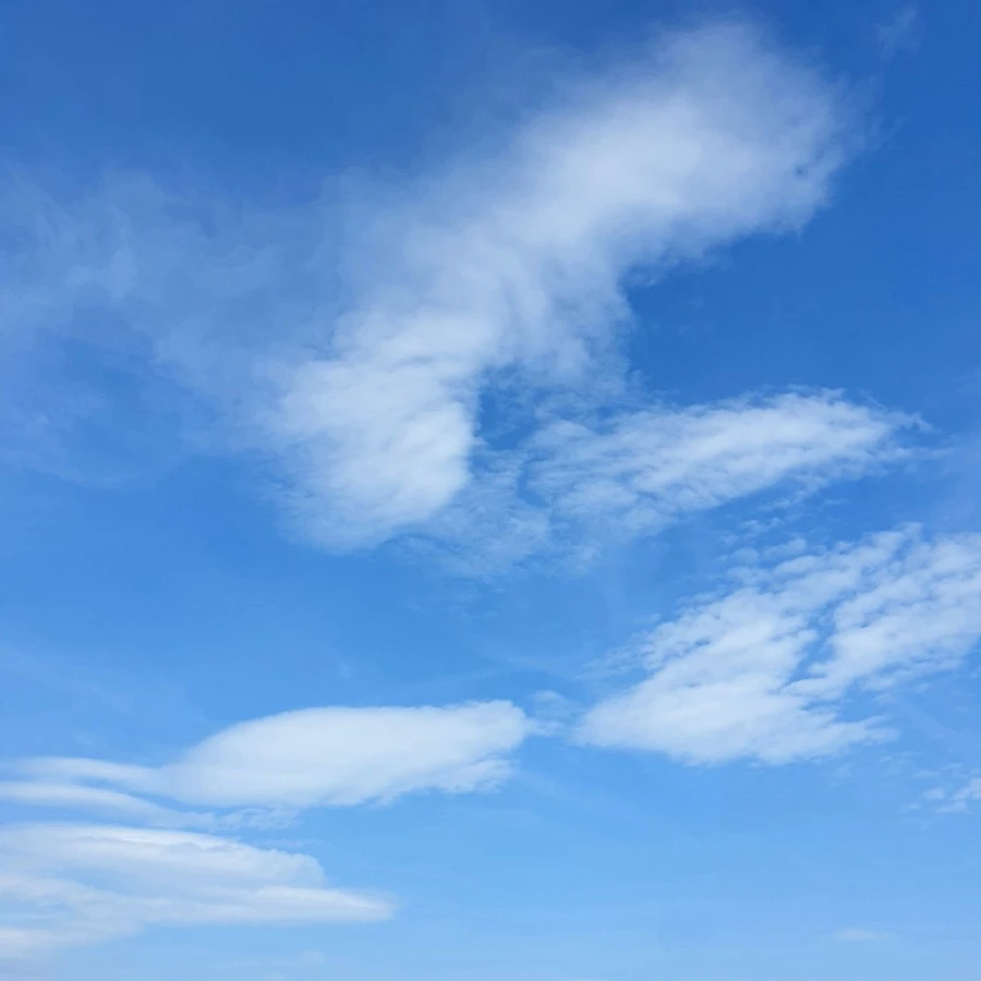 1598742964939.jpg?type=w1