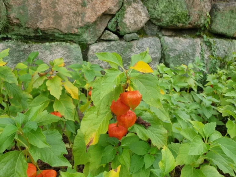 20230916%EF%BC%BF152320.jpg?type=w773