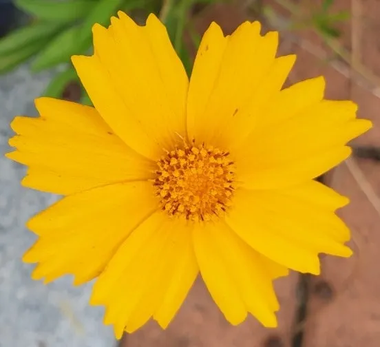 20230914%EF%BC%BF144107.jpg?type=w1600