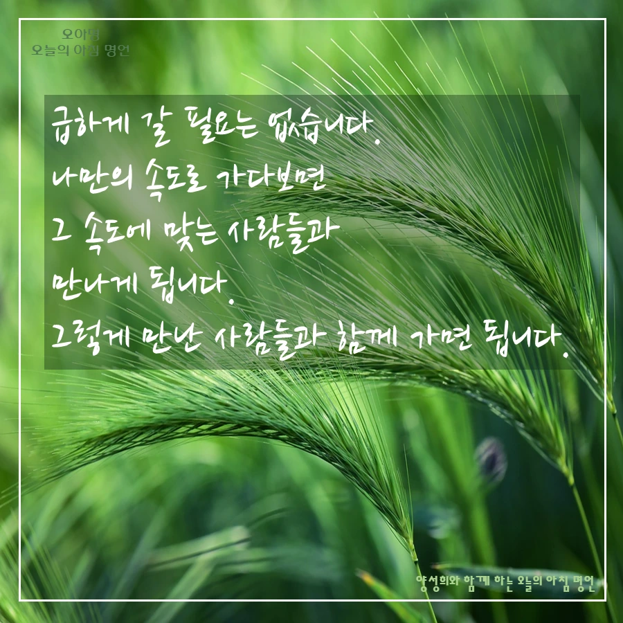 슬라이드4 (3).PNG